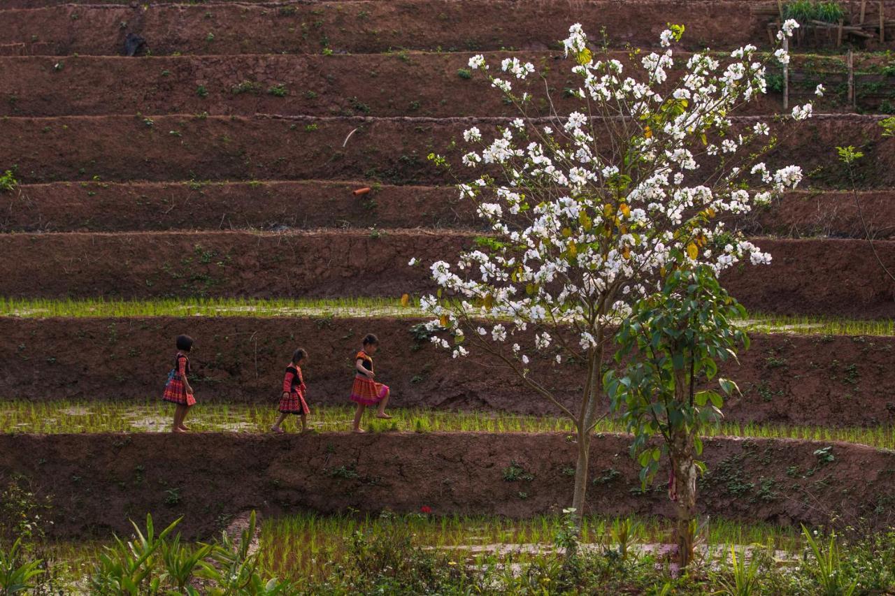 Avana Retreat マイチャウ エクステリア 写真