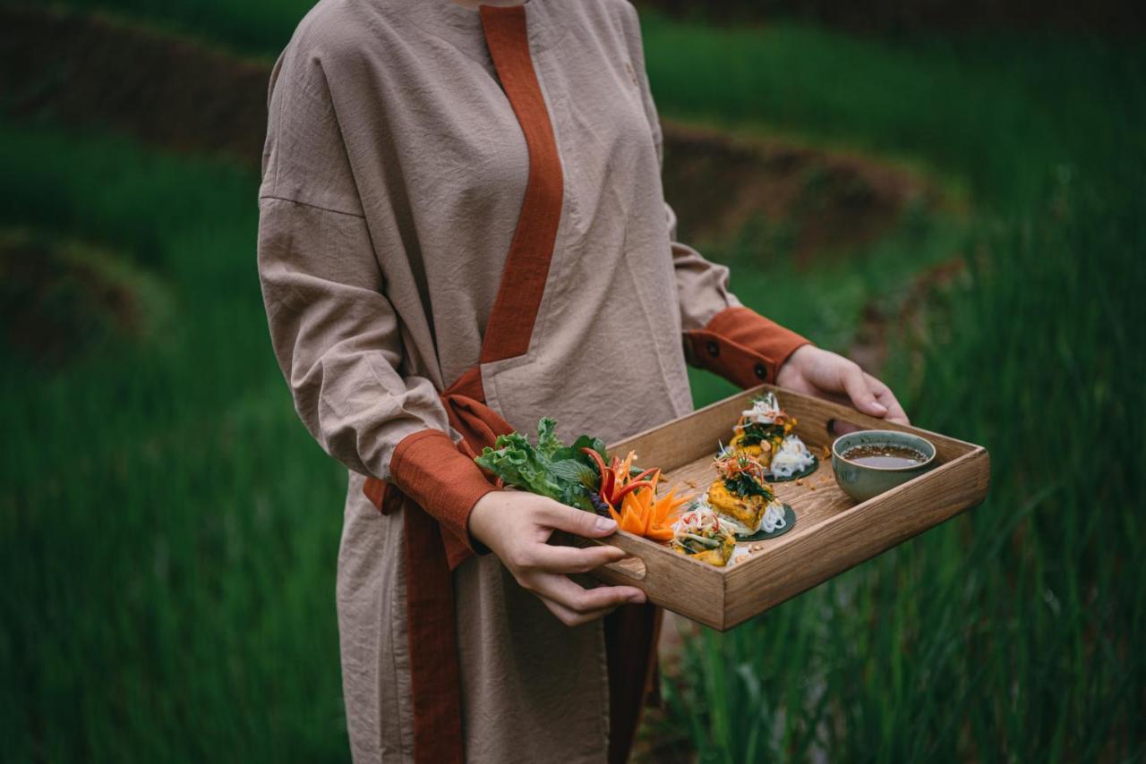 Avana Retreat マイチャウ エクステリア 写真